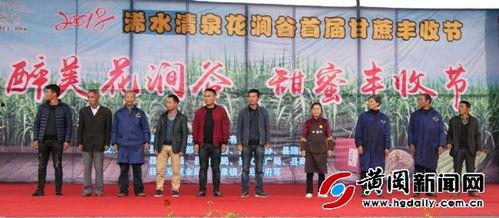 浠水二小爆料新闻报道视频,揭秘校园背后故事